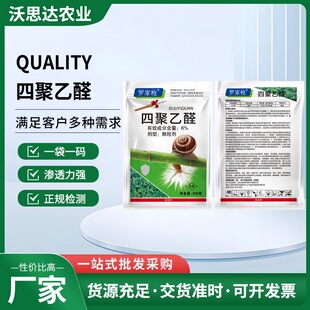 ����6%�ľ���ȩ΁ţș�w�������{�ؚ�������ʩ��ș���x���r����
