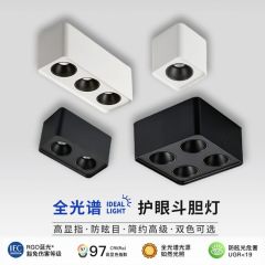 明装ledスポットライト防烈単頭二頭明装スポットライト三頭四頭斗胆灯無主灯角型ダウンライト