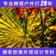 2024 new beta lights solar lights outdoor courtyard garden decoration led atmosphere lights floor lawn lights
