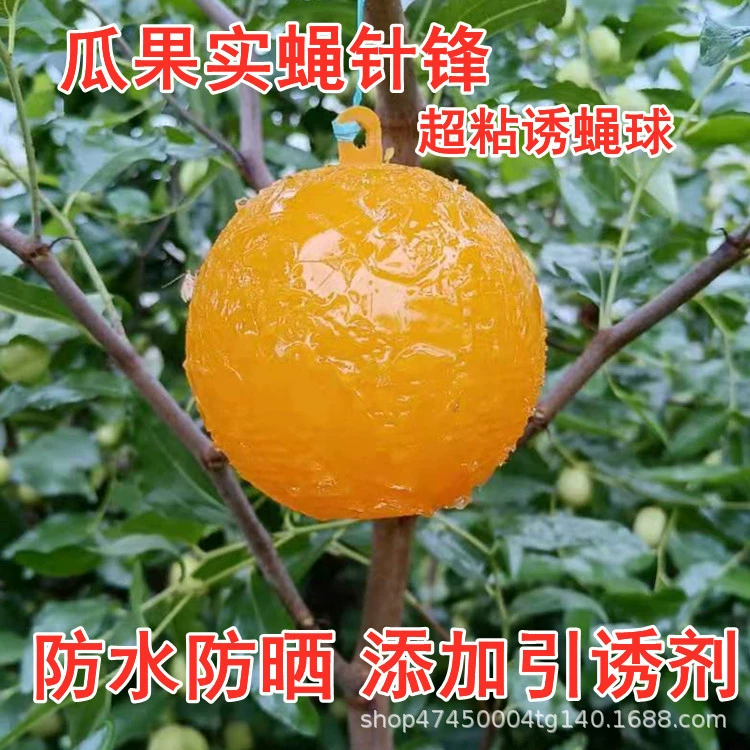 Ловушка для мух мяч цитрусовые большие фруктовые мухи Дыня ловушка для фруктовых мух и убить фруктовую муху совка мяч пчелиная ловушка мяч Дыня фруктовый сад специальный