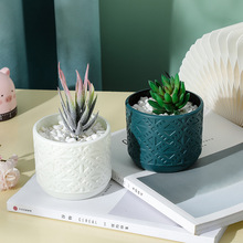 新款创意北欧风居家干湿花插花容器塑料水培花瓶仿瓷仿釉多肉花盆