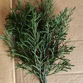 干花;永生花;仿真花