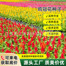 �u�ڻ��N��ͥԺ���҃��̨�׻�ܻ��N�ļ��_�������׷N�̨����