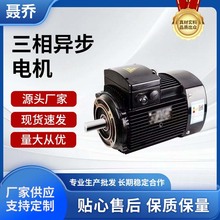 格兰富款CDL立式多级泵用电动机YE3 80M1-2-0.75KW三相异步电动机