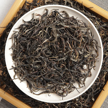 ���l ����ն��� 2023�������կ �紺ɢ��  ����