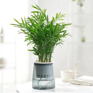 ɢβ ҃ȴPβ ҃ȻܾGֲҬ