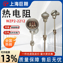 ���żPT100�ضȂ�����WZP2-2212�p֧����蹤�I���̻������a�y��