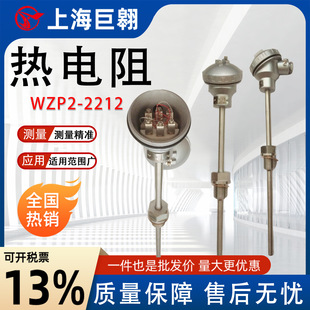 ���żPT100�ضȂ�����WZP2-2212�p֧����蹤�I���̻������a�y��