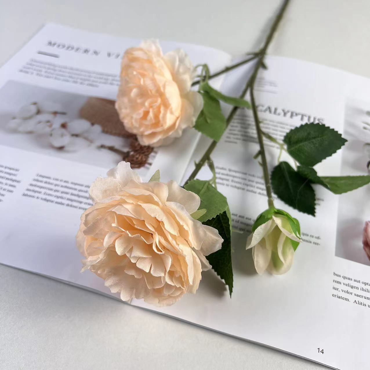 양 모란-봄 샴페인 (메인 사진)