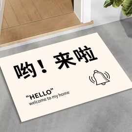 硅藻泥家用玄关脚垫室内轻奢入户门地垫免洗进门吸水速干耐脏地毯