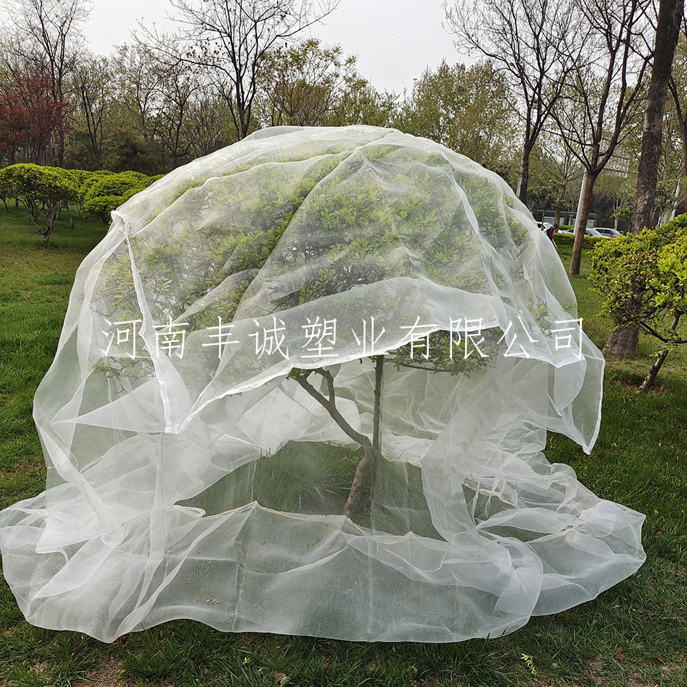 2.5*2.5*2.5米防虫网罩/杨梅樱桃树网罩/防虫网大棚网