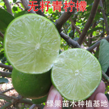 ���ʘ���޽������ļ���ˮ����̨���o�������ʹ����̨���԰��]