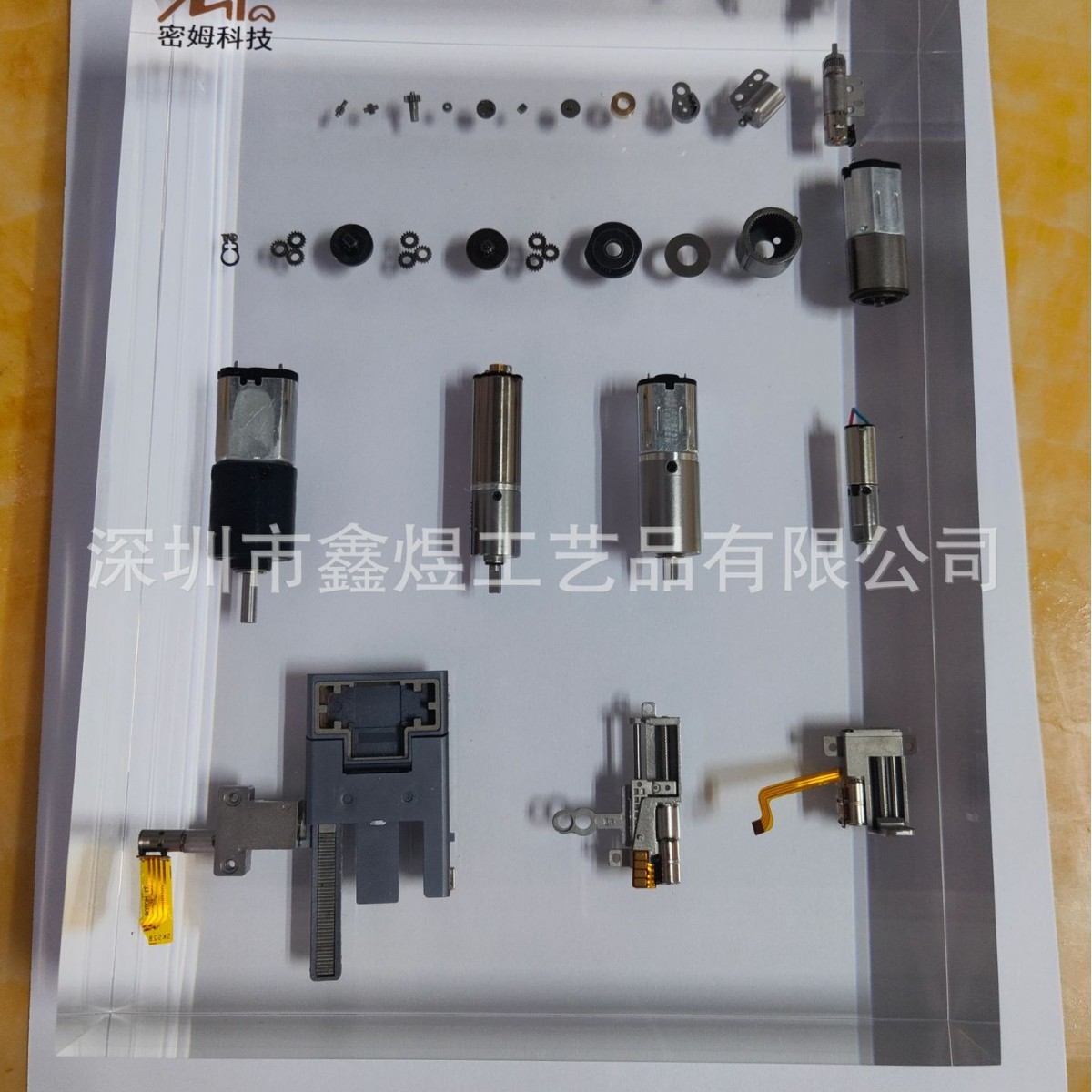 2025-03-12 16:15:00.jpg