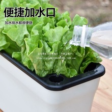 �S��ֱ�N�L���������Ԅ���ˮ���˻����̨�N�˻�����˾G�}�Nֲ��