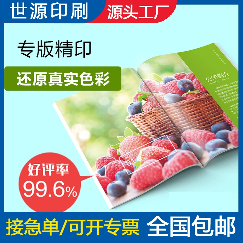 Печатный производитель печатает руководство по продукции на заказ брошюры, печать журналов, печать цветных страниц