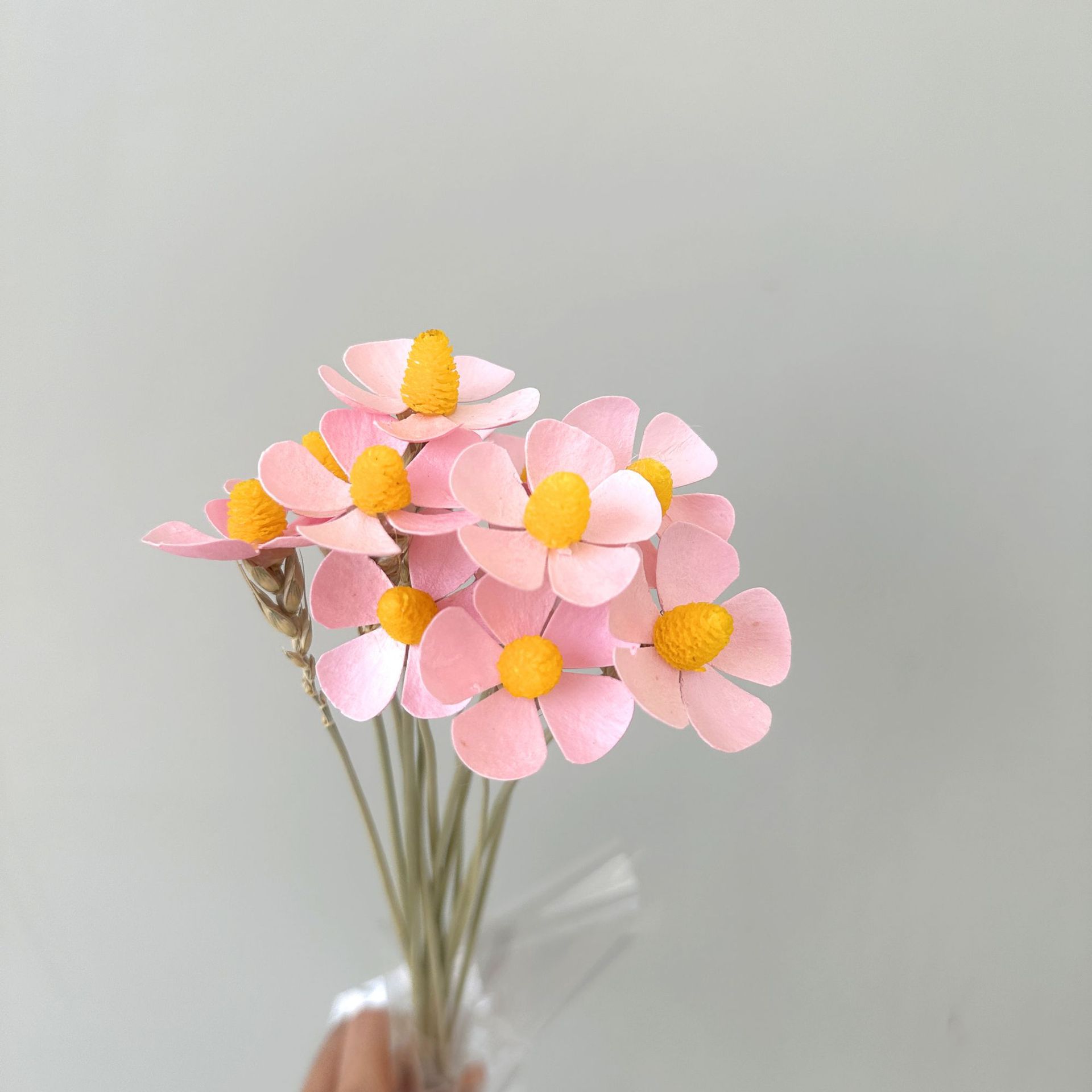 핑크 12개 스틱/팩