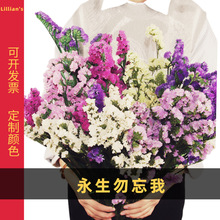 云南干花永生勿忘我鲜花原料云南基地永生勿忘我花头现货批发