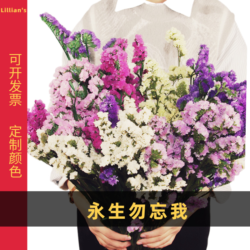 云南干花永生勿忘我鲜花原料云南基地永生勿忘我花头现货批发