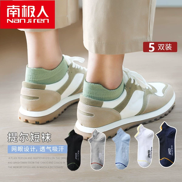C02 SP model (5 pairs)