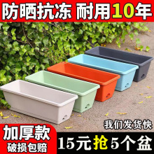 �����L���ηN�˼�ͥ�̨�N�����߲������L�l���ݮ���ԷNֲ����l