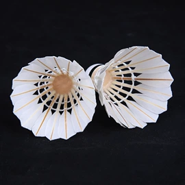 羽毛球;羽毛、羽绒