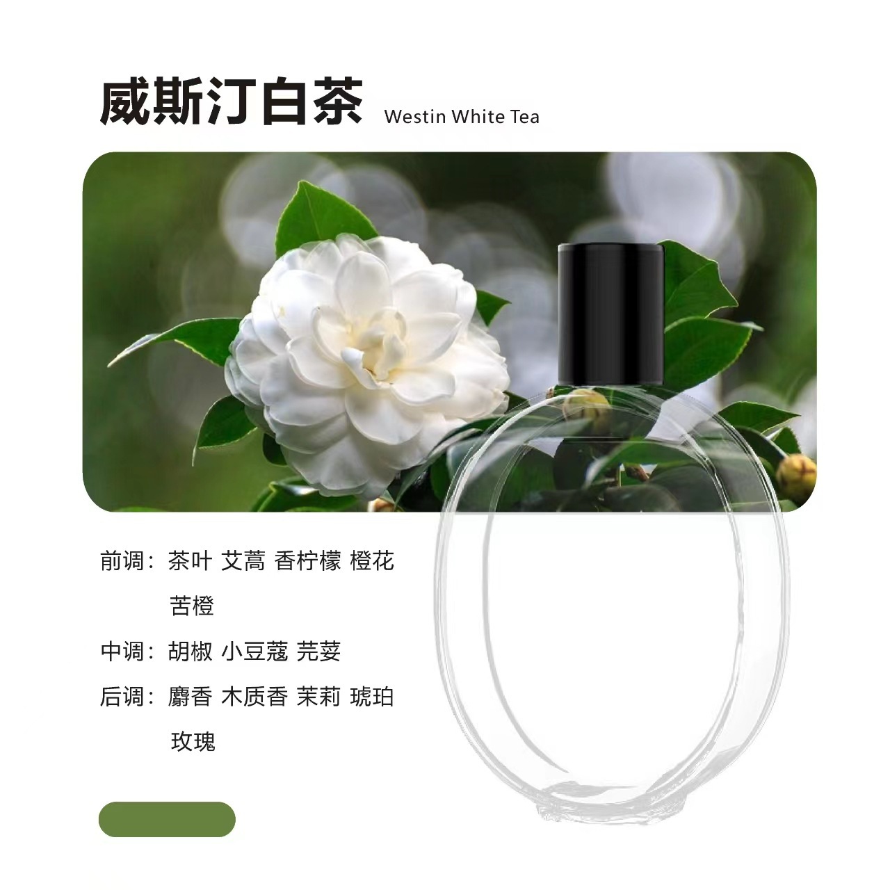 [웨스틴 화이트티] 에센셜 오일 1병(머신 없음)