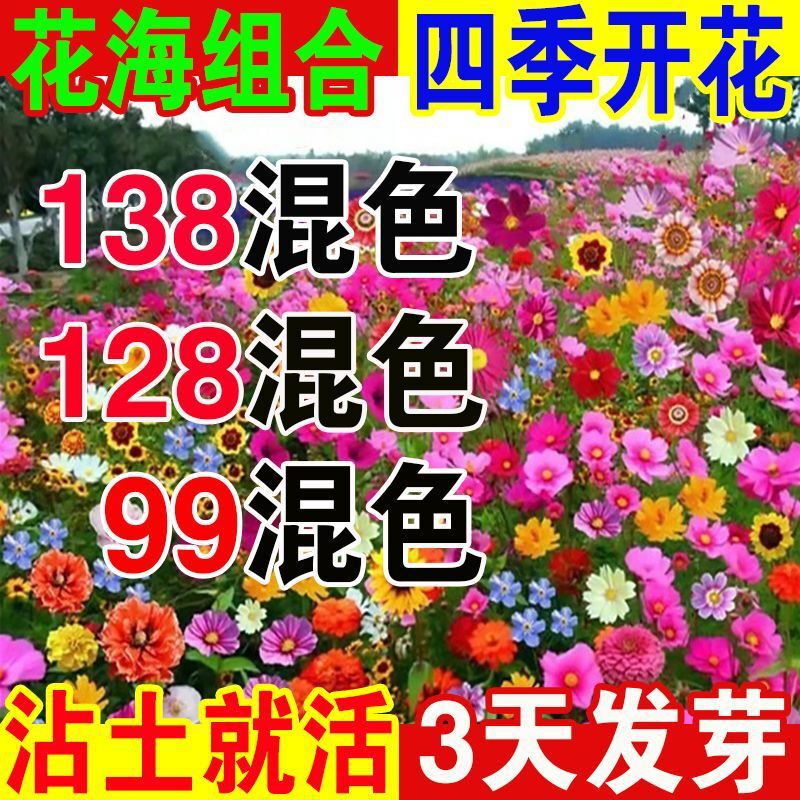 Wildflower Combination Flower Seeds Are Easy to Sow in All Seasons, Cosmos, Gerbera, Sunflower, Zinnia Seeds Wildflower Combination Flower Seeds Are Easy to Sow in All Seasons, Cosmos, Gerbera, Sunflower, Zinnia Seeds
