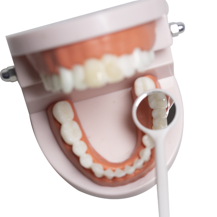 Material dental desechable espejo oral desechable espejo examen oral endoscopio oral espejo dental