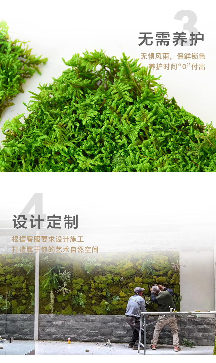 小盒永生苔蘚詳情頁_06.jpg