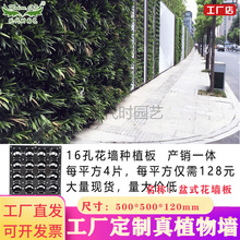 ��ֱ����Nֲ���^�������w�G���������w�G��ֲ���ڒ컨�軨��