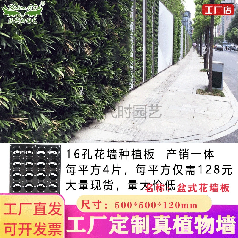 Вертикальная посадка стен ландшафтный проект трехмерная зеленая стена стена трехмерная зеленая стена