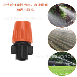 �F�����^���^�F�� �F�����{���P�] ���m�����F�����b