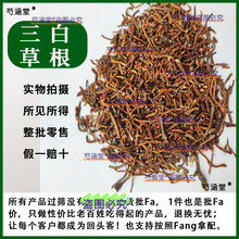 三白草根中药材 白莲花根 塘边藕根 地藕 百节藕 500克