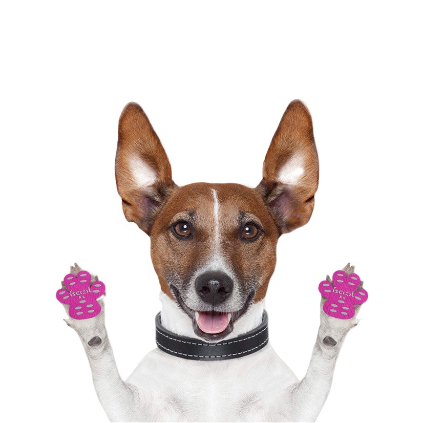 Manufacturer's Creative Hot-Selling Pet Supplies Non-Slip Dog Foot Patch Invisible Dog Toe Grip Pad Paw Protector