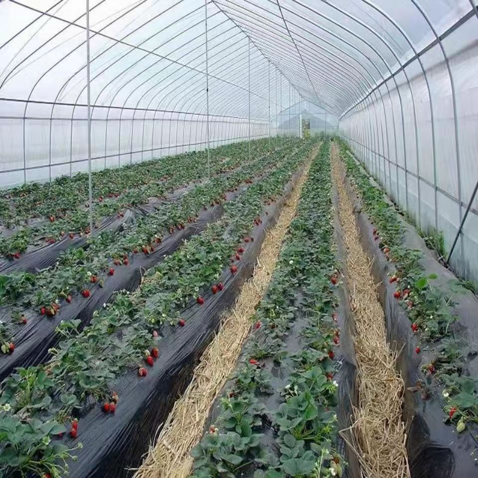 微信图片_20221102195642