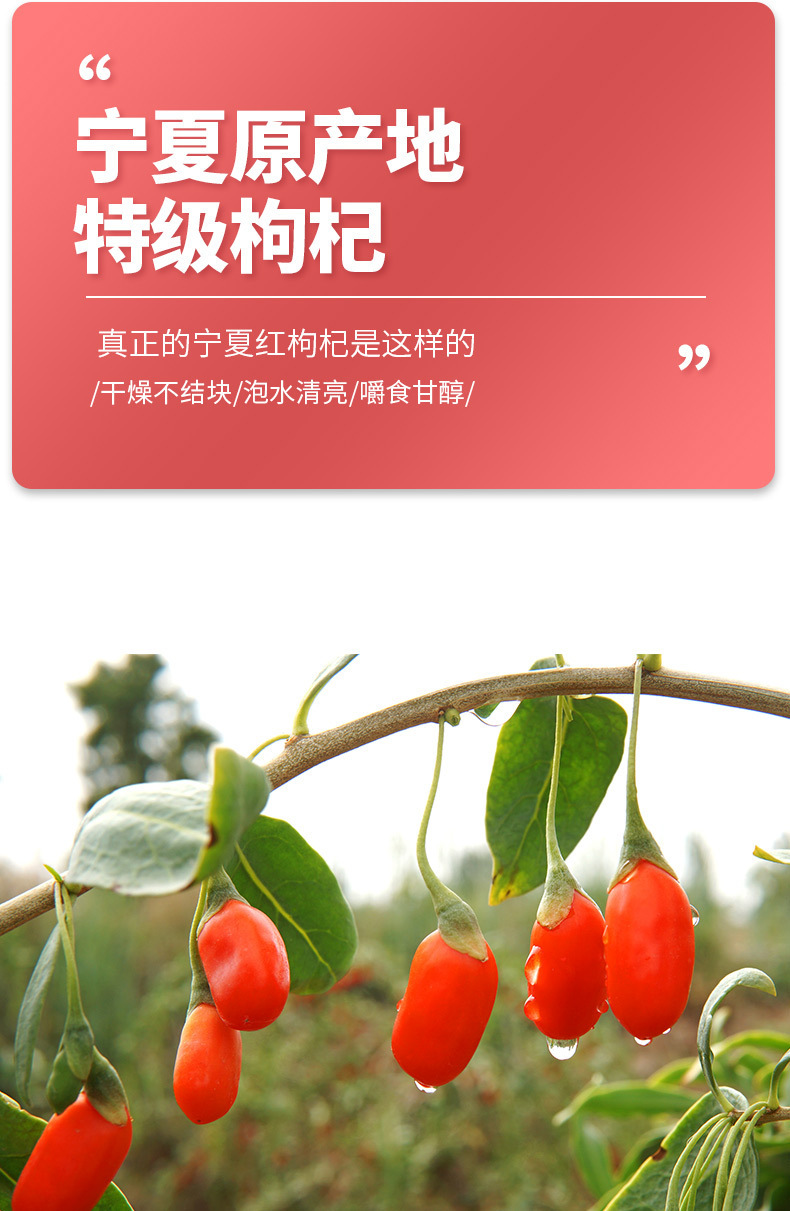 Dried Goji Berries 250g Jar Ningxia Zhongning Gou Qi Zi Unsulfured Premium Goji Fruit key features