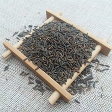 中药材 驱虫斑鸠菊 斑鸠菊1kg
