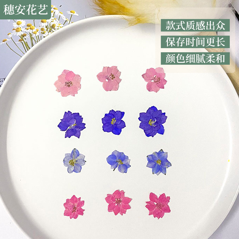 厂家直供干花压花材料飞燕干花书签DIY贴花化妆花艺相框花朵押花