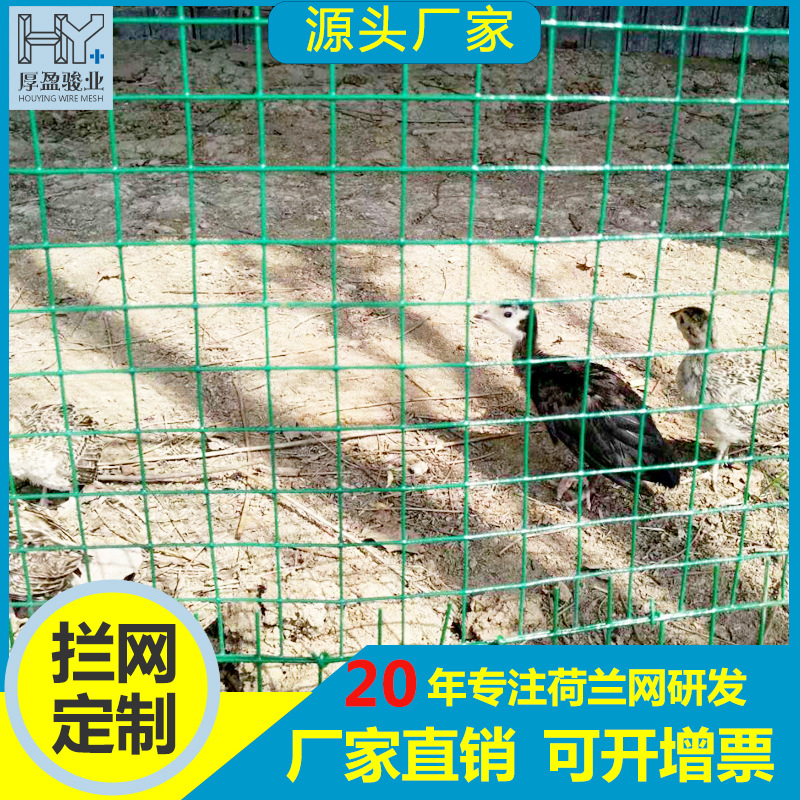 佛山现货荷兰网PVC涂塑荷兰网 浸塑电焊网农用圈地养殖荷兰网批发