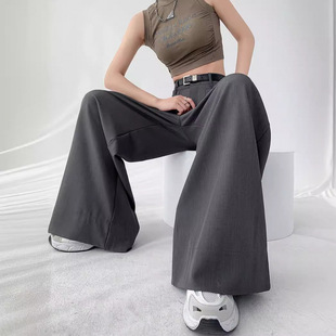 Women's Suit Wide-Leg Pants 2024 Summer and Autum Slimming Look High-Waisted Narrow Straight Casual Large-Leg Floor-Length Pants