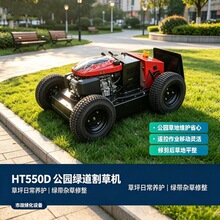 HT550D 轮式剪草机 大面积草坪快速打理 物业绿化作业机型 动力强