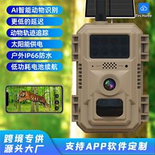 全景工厂4G动物打猎相机外贸跨境爆款超高清像素AI识别太阳能供电