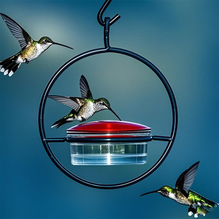 ���Bιˮ���羳ι�B�����ّҒ�hummingbird feeder�����B���Bʳ��