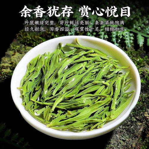 Maojian Green Tea 2024 New Tea Mingqian Young Buds Alpine Tea Spring Tea Strong Flavor Green Tea 500g Bulk Wholesale
