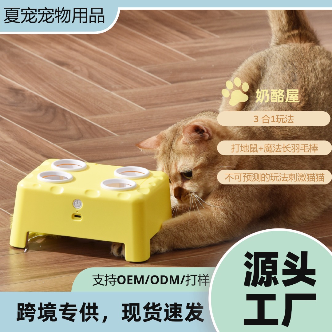 3-in -1 치즈 하우스 스마트 고양이 장난감 햄스터 삐걱 거리는 깃털 고양이 장난감, 아마존 핫 판매