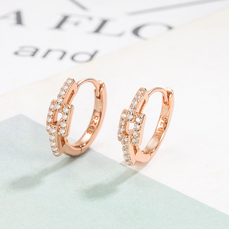 Minimalist Style Micro-Inlaid Chain Small Earrings for Women Versatile Elegant Simple Earrings New Niche Design High-End Earrings