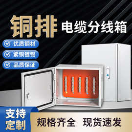 室内冷轧钢电缆T接箱铜排分支T接转换箱配电箱电控箱基业箱横箱