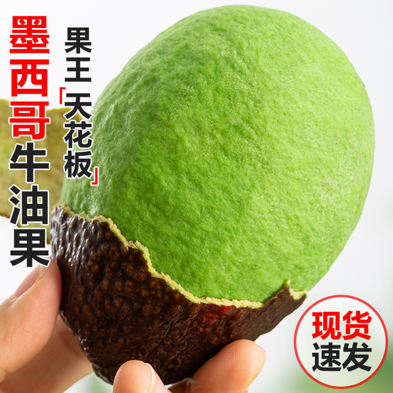 W Mexico Avocado Imported In-Season Whole Box Free Shipping Fresh Fruit Ready-to-Eat Baby Food Giant Avocado