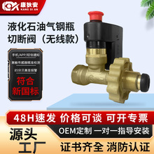 液化石油气燃气泄漏报警切断阀天燃气煤气钢瓶电磁阀探测器批发