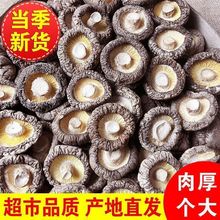 �㹽�����؛500g���o�����㹽ԭľ����ʳ�þ�Ģ���S��ֱ�l���l